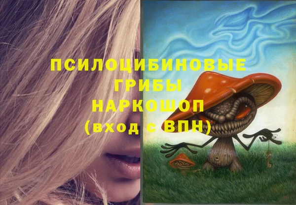мдпв Красноперекопск