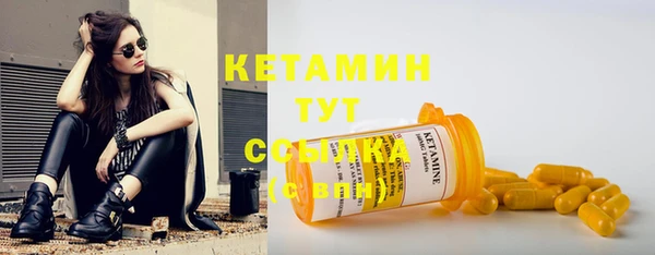 СК Новодвинск