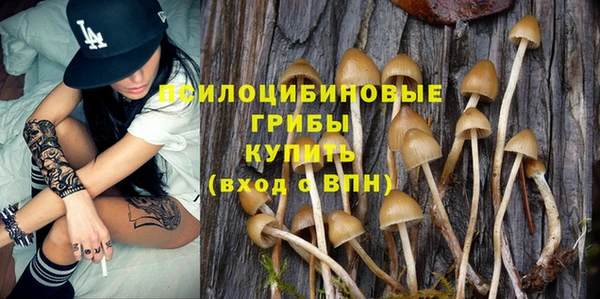 мдпв Красноперекопск