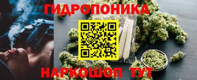 мдпв Рязань