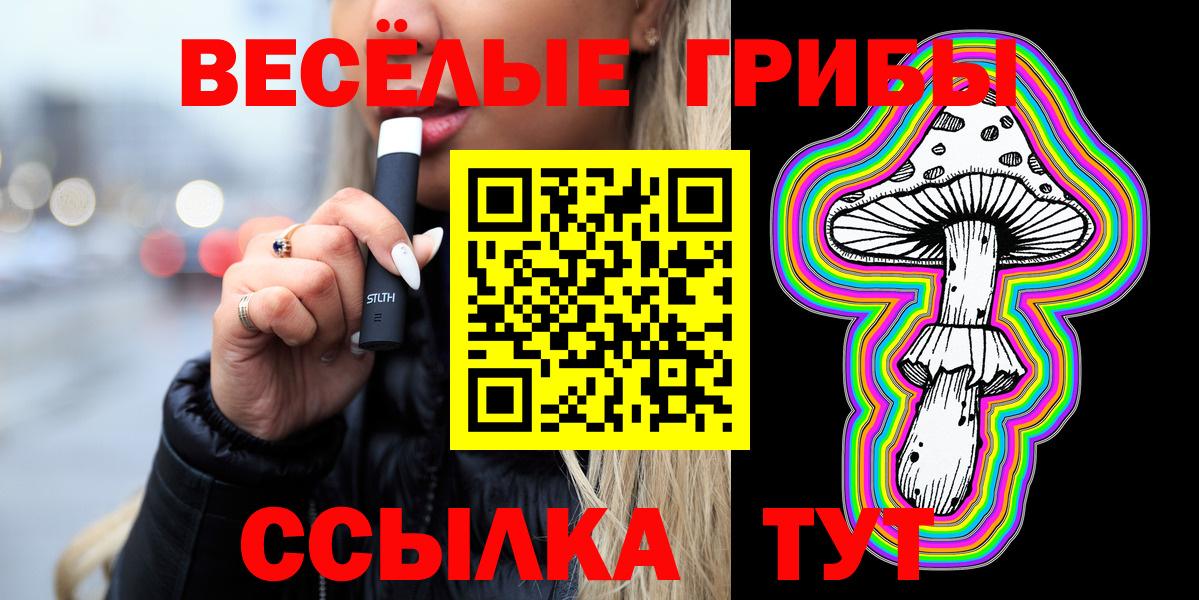 дарнет шоп  Псилоцибиновые грибы Psilocybe  Вход с VPN  Углич 